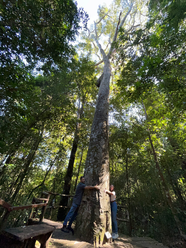 Fazenda Vagafogo